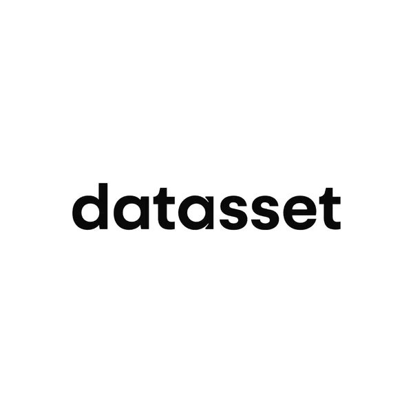 Datasset logo